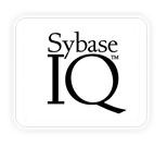 Logo ASIQ